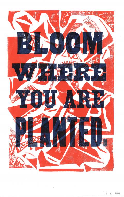 Bloom Where You Are Planted